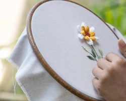 503074833_668252866212829_3901749440342768130_n