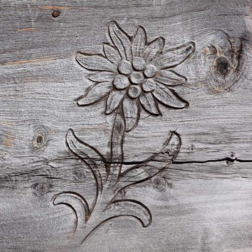 503127286_2119585161802360_5883982564253396150_n