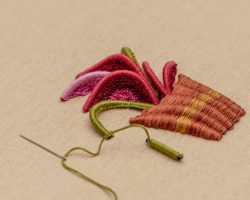 506046719_1078399230858077_4343341841022598034_n